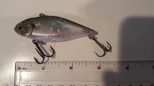 20180304_141710.jpg