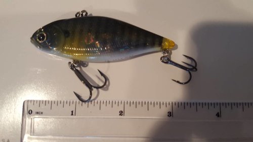 20180304_141824.jpg