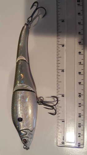 20180304_141947.jpg