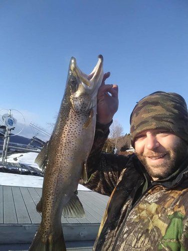 20180311_083446.jpg