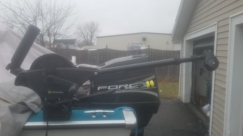 20180328_113810.jpg