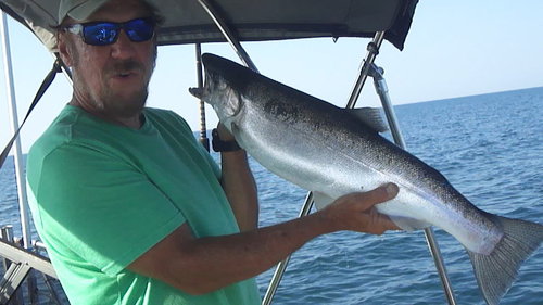 lesoneofthe fish.jpg