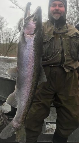 5ac008bce67d9_2018STEELHEAD4.thumb.jpg.852635e80e995e1f753fc11e45f94ce0.jpg