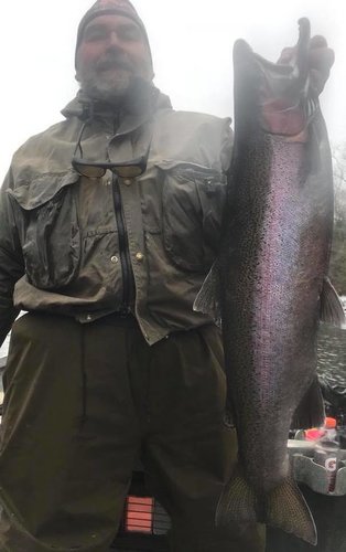 2018 STEELHEAD #1.jpg