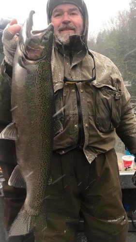 2018 STEELHEAD #2.jpg