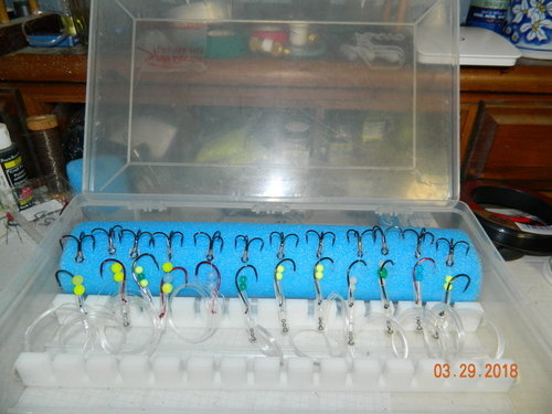 DSCN0735.JPG