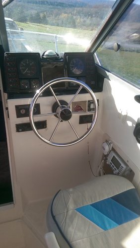 IMAG1366.jpg