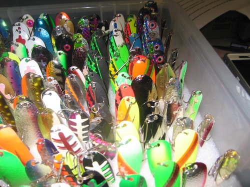 IMG_1747.thumb.JPG.3ab91506312c7b78c4f19c8cf90798b9.JPG