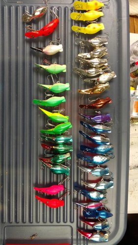 IMG_20180301_150848758.jpg