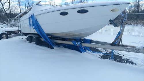 IMG_20180304_112344710.jpg