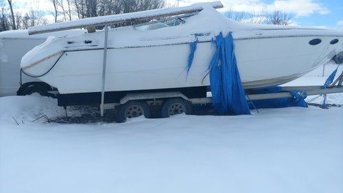 IMG_20180304_112359661.jpg