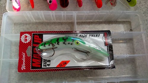 IMG_20180322_160043597.jpg