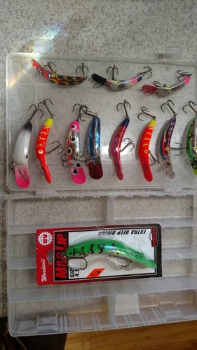 IMG_20180322_160102164.jpg