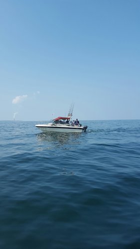 IMG_3735.JPG