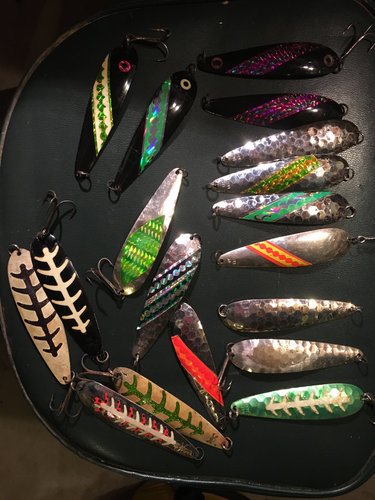 Image1520178225.188381.jpg