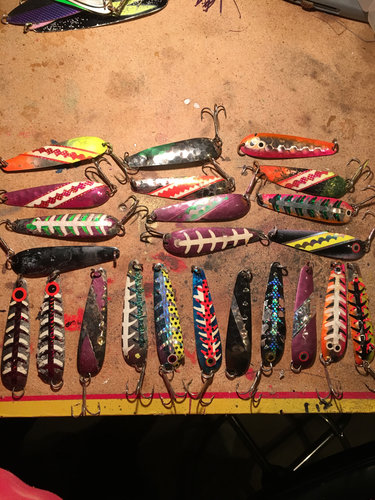 Image1520178372.974783.jpg