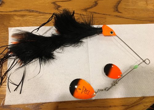 Image1521930821.847981.thumb.jpg.d0376eb1bc6a50d80023177d9134c143.jpg