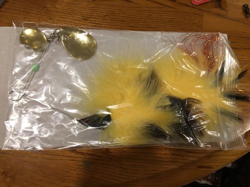 Image1521930966.885736.thumb.jpg.36d671ac09a0e854ed7c9990ff269b2c.jpg