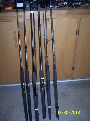 100_0720.jpg