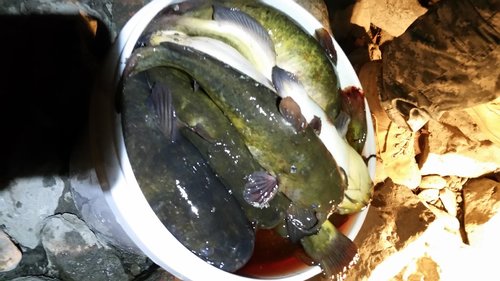 20180220_215707.jpg