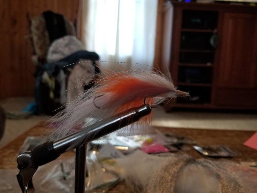 20180322_180009.jpg
