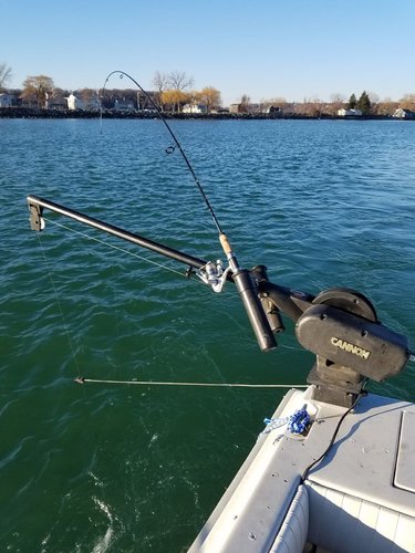 20180331_080422.jpg