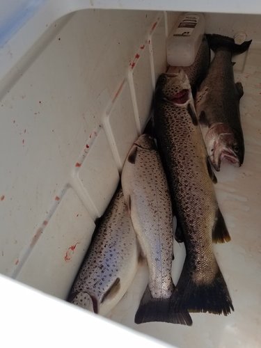 20180331_120710.jpg