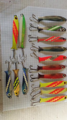 20180403_091354.jpg