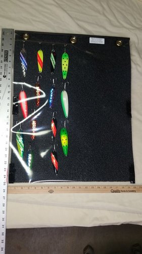 20180412_165542.jpg