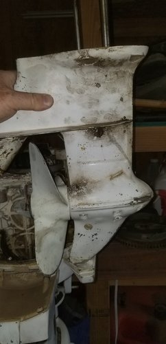 20180414_174526.jpg