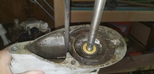 20180414_174535.jpg