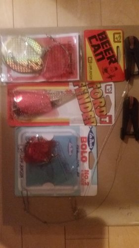20180420_005835.jpg