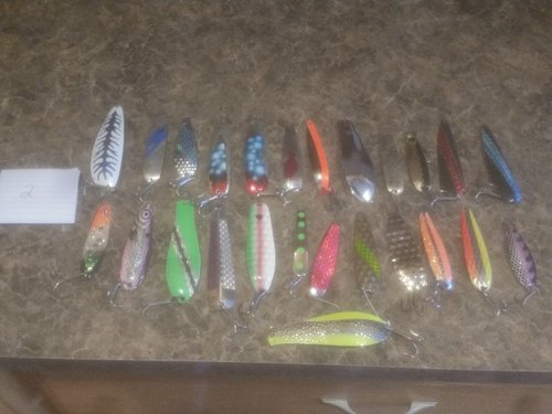 20180421_104143.jpg