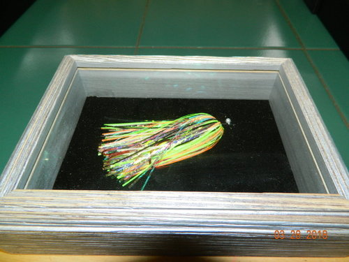 DSCN0719.JPG