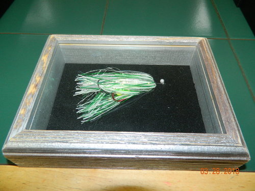 DSCN0720.JPG