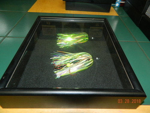 DSCN0725.JPG