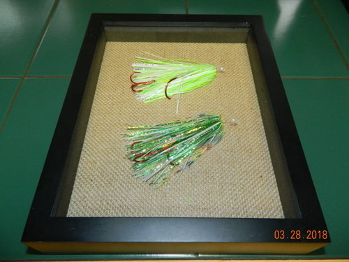 DSCN0726.JPG