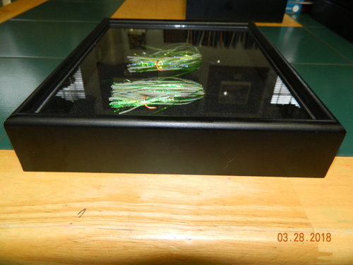 DSCN0728.JPG