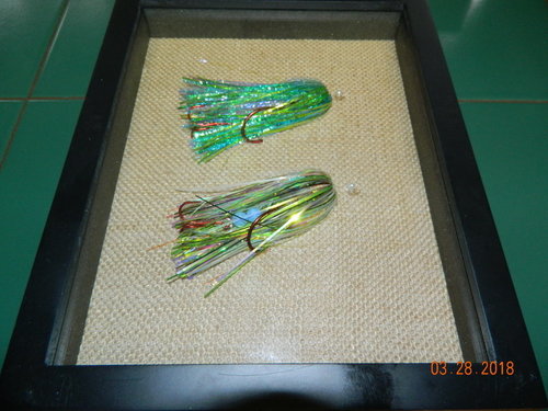 DSCN0729.JPG