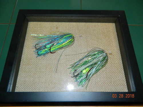 DSCN0730.JPG