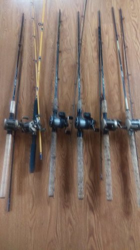 IMAG0656.jpg