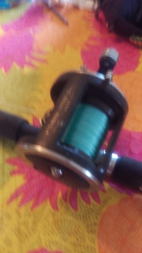 IMAG0660.jpg