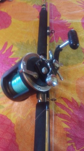 IMAG0662.jpg