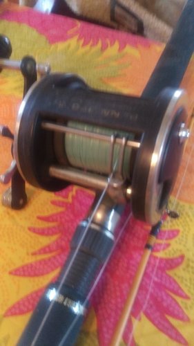 IMAG0665.jpg