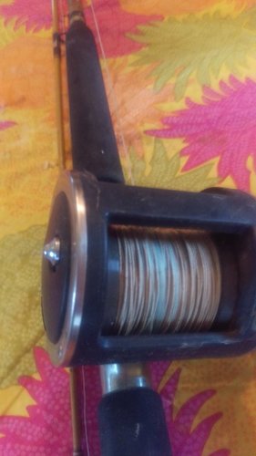 IMAG0666.jpg