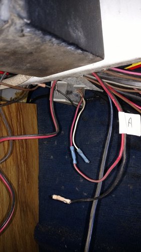 IMG_20180403_164353280.thumb.jpg.bf856333f5f7fe0ff13c15c33032a617.jpg