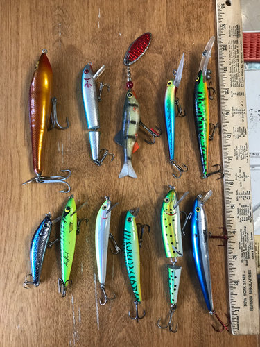 Image1523127006.371063.jpg