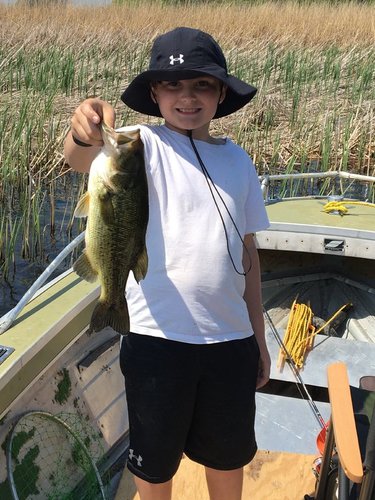 1836666742_Kage-largemouth4.thumb.JPG.1b7f7679a3e7194850cc869db70aa16d.JPG
