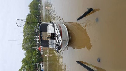 20170527_125143.jpg