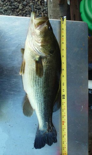 20180426_1822451.jpg